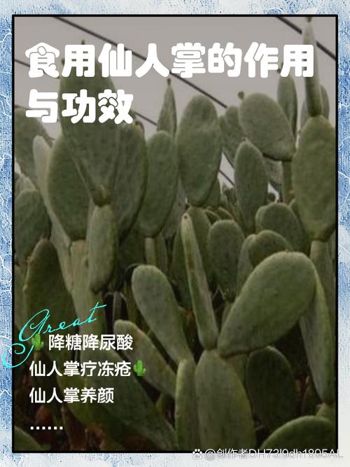 王冠龙的繁殖方法，王冠龙的繁殖方法有哪些？-第5张图片-优品飞百科