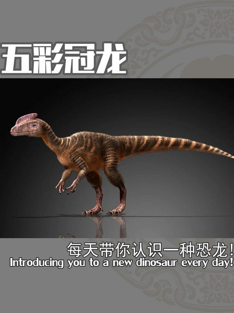 王冠龙的繁殖方法，王冠龙的繁殖方法有哪些？-第6张图片-优品飞百科