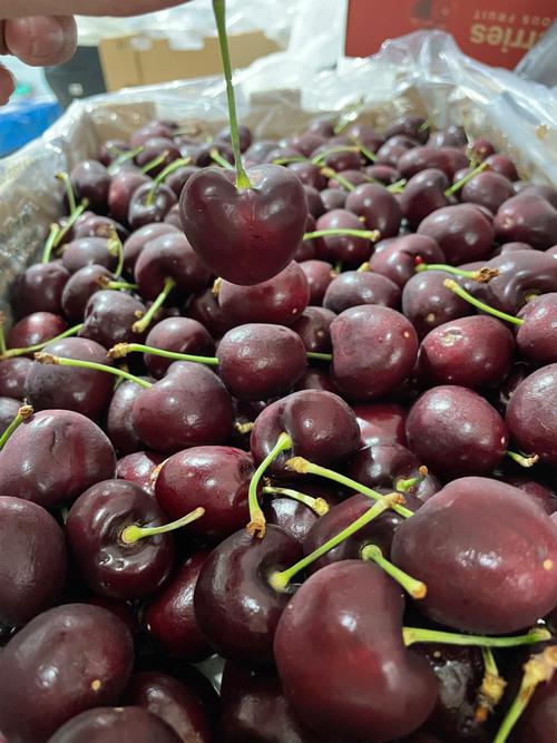 车厘子就是樱桃吗，车厘子就是樱桃吗图片-第2张图片-优品飞百科