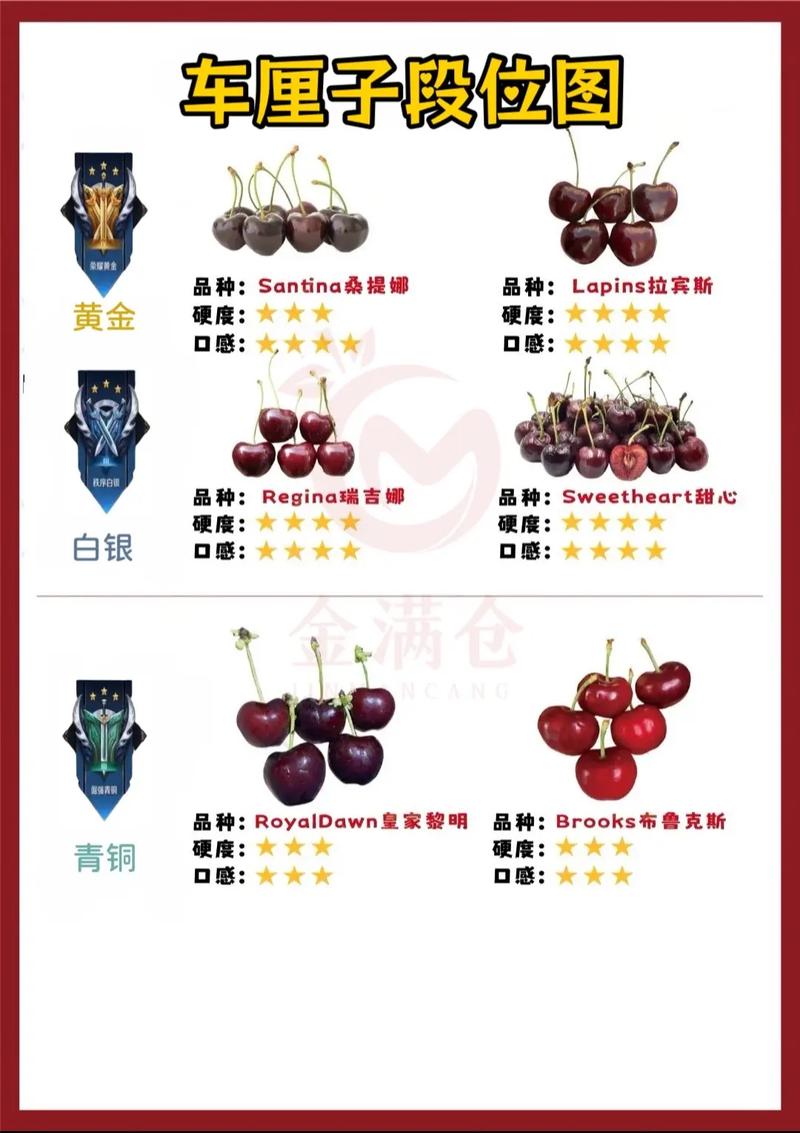 车厘子就是樱桃吗，车厘子就是樱桃吗图片-第5张图片-优品飞百科