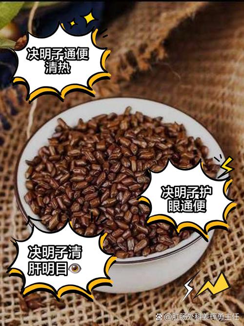 豆茶决明的养殖方法及注意事项，豆茶决明怎么制茶