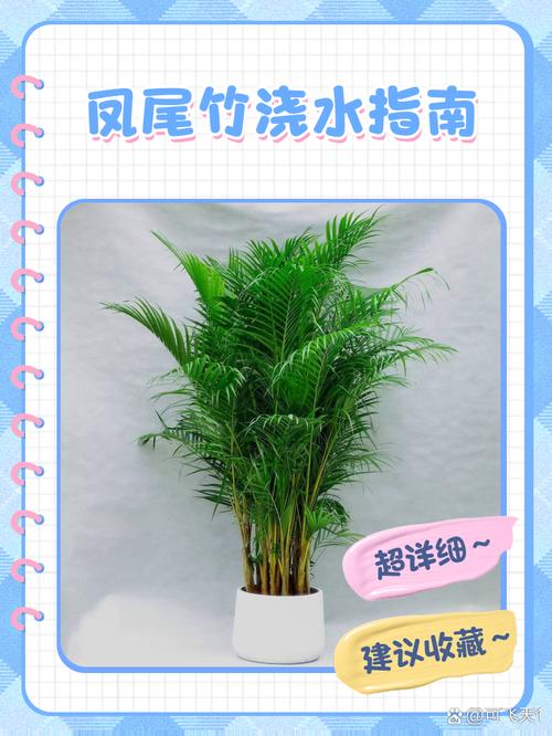 换盆的最佳时期到了?换盆过程?-第2张图片-优品飞百科 换盆的最佳时期到了?换盆过程?-第2张图片-优品飞百科