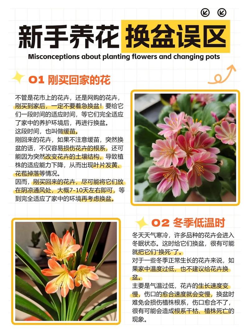 换盆的最佳时期到了?换盆过程?-第3张图片-优品飞百科 换盆的最佳时期到了?换盆过程?-第3张图片-优品飞百科