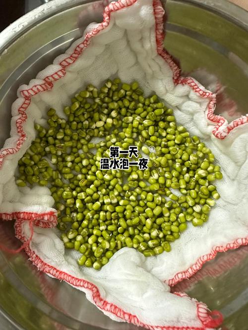 饮料瓶剪1刀？饮料瓶怎么剪？-第1张图片-优品飞百科