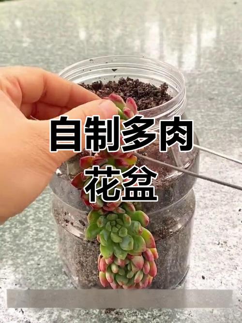 饮料瓶剪1刀？饮料瓶怎么剪？-第6张图片-优品飞百科