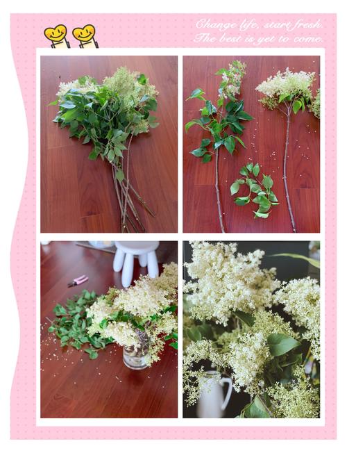 丁香花怎么养？丁香花怎么养护和浇水？-第4张图片-优品飞百科