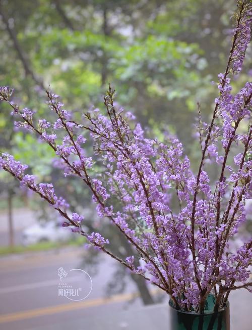 丁香花怎么养？丁香花怎么养护和浇水？-第8张图片-优品飞百科