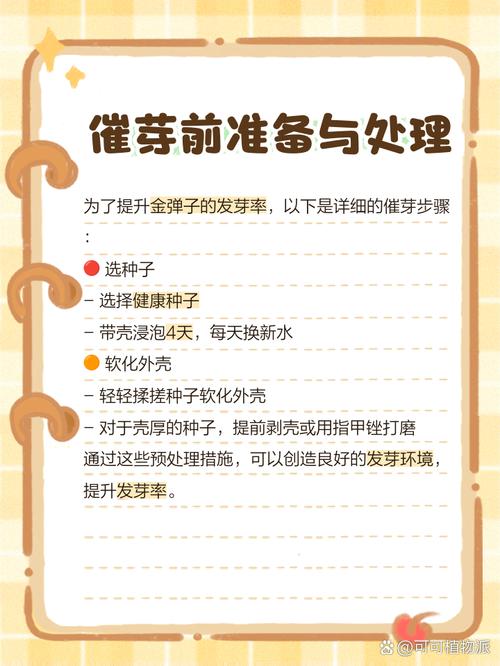 金弹子种子怎么种？金弹子种子怎么种植发芽快？-第8张图片-优品飞百科
