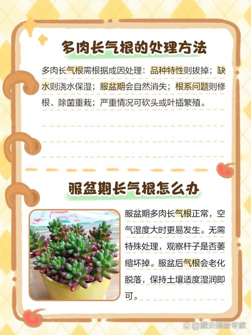 法师长气根是怎么回事，法师长气根怎么办？-第7张图片-优品飞百科