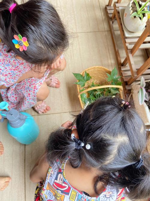 番薯叶怎么种,番薯叶怎么种来吃比较嫩?-第4张图片-优品飞百科 番薯叶怎么种,番薯叶怎么种来吃比较嫩?-第4张图片-优品飞百科