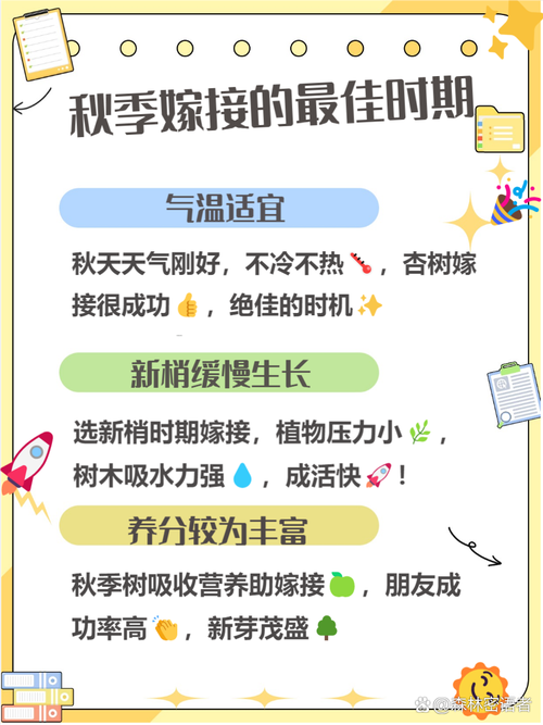 银杏嫁接最佳时间?怎样嫁接银杏树什么时候嫁接?-第5张图片-优品飞百科 银杏嫁接最佳时间?怎样嫁接银杏树什么时候嫁接?-第5张图片-优品飞百科