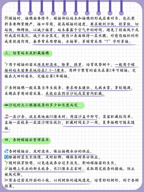 银杏嫁接最佳时间?怎样嫁接银杏树什么时候嫁接?-第7张图片-优品飞百科 银杏嫁接最佳时间?怎样嫁接银杏树什么时候嫁接?-第7张图片-优品飞百科