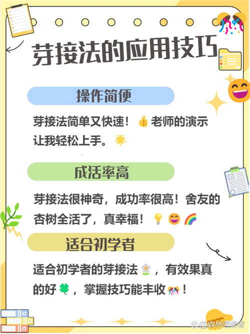 银杏嫁接最佳时间?怎样嫁接银杏树什么时候嫁接?-第8张图片-优品飞百科 银杏嫁接最佳时间?怎样嫁接银杏树什么时候嫁接?-第8张图片-优品飞百科