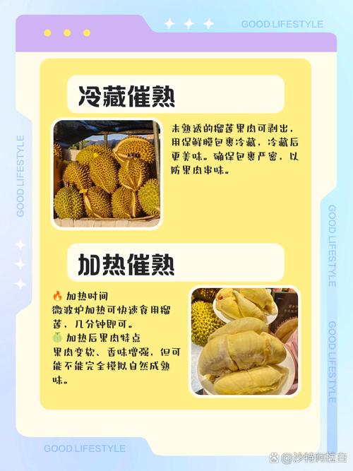 榴莲春天怎么养？榴莲怎么种?在什么季节种?？-第5张图片-优品飞百科