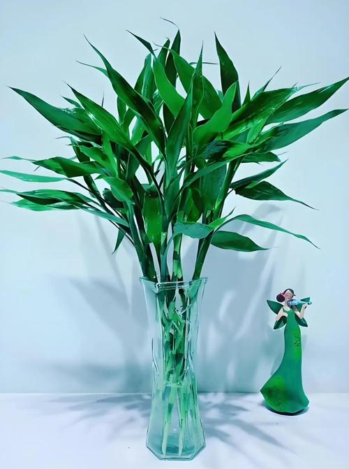 水培瓶里加点它？水培可以用塑料瓶吗？-第2张图片-优品飞百科