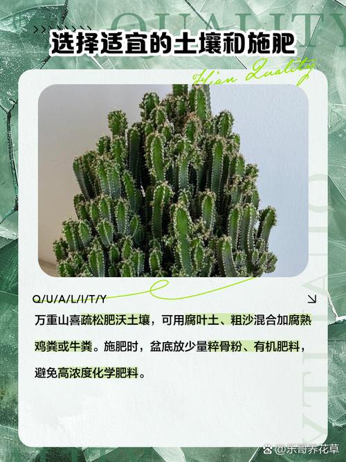 万重山为什么徒长,万重山为什么不绿了-第6张图片-优品飞百科 万重山为什么徒长,万重山为什么不绿了-第6张图片-优品飞百科