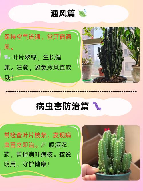 万重山为什么徒长,万重山为什么不绿了-第7张图片-优品飞百科 万重山为什么徒长,万重山为什么不绿了-第7张图片-优品飞百科