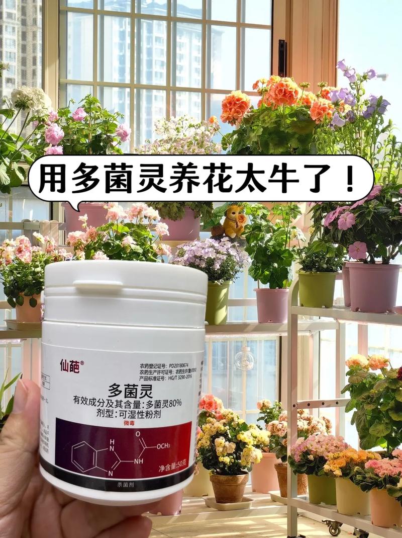 如何防止栀子花烂根？怎么防止栀子花蕊脱落？-第5张图片-优品飞百科