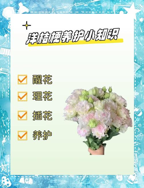 洋桔梗鲜切花能养多久，鲜切洋桔梗的养护-第5张图片-优品飞百科