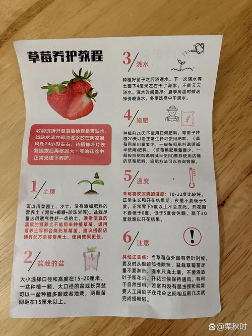 草莓几天浇一次水，春天草莓几天浇一次水