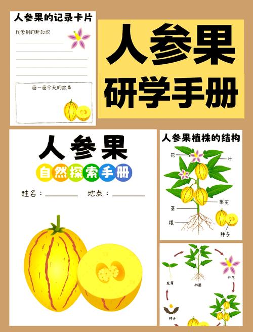 人参果怎么种植，云南人参果怎么种植-第4张图片-优品飞百科