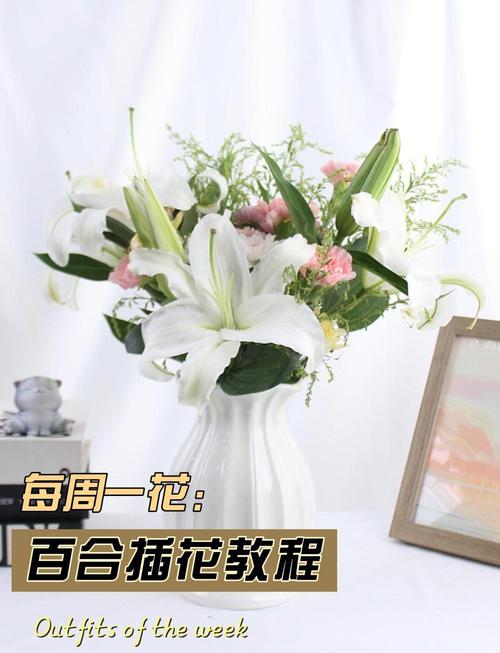 百合花怎么养，百合花怎么养 盆栽？-第6张图片-优品飞百科