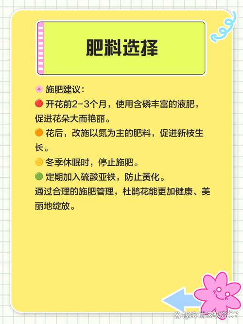 杜鹃怎么施肥?杜鹃花用什么肥料?-第4张图片-优品飞百科 杜鹃怎么施肥?杜鹃花用什么肥料?-第4张图片-优品飞百科