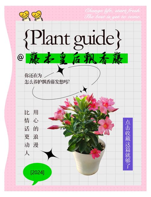 飘香藤的扦插方法，飘香藤几月份扦插好-第2张图片-优品飞百科