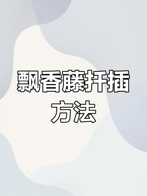 飘香藤的扦插方法，飘香藤几月份扦插好-第4张图片-优品飞百科