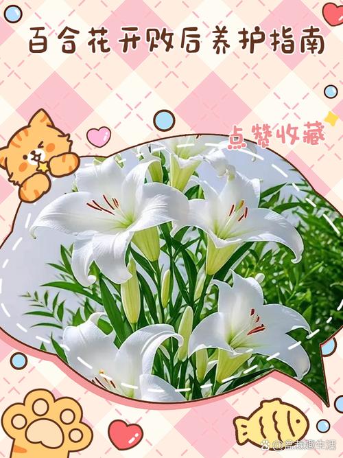 百合花花期过后怎么养，百合花花期过了怎么处理？-第5张图片-优品飞百科