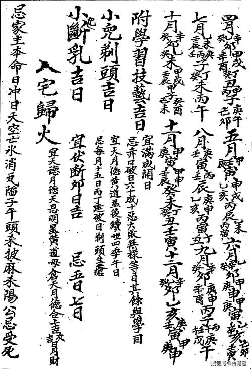 屋卷绢怎么养的简单介绍