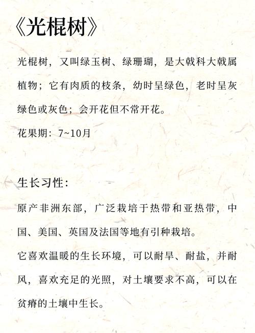 光棍树怎么养,光棍树怎么养护?-第3张图片-优品飞百科 光棍树怎么养,光棍树怎么养护?-第3张图片-优品飞百科