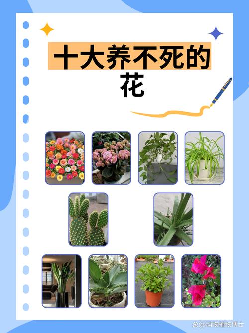 养花为什么不能用大盆，种花为什么不能直接用大盆？-第3张图片-优品飞百科