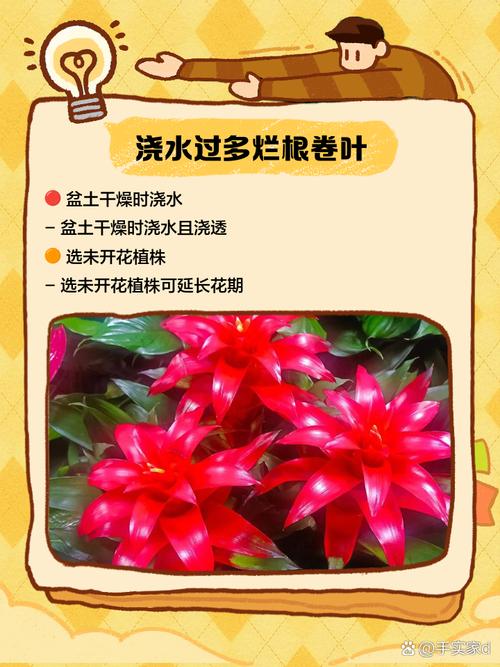 鸿运当头受冻了怎么办，鸿运当头被冻了怎么办？