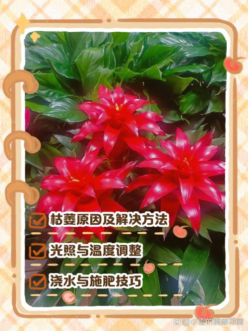 鸿运当头受冻了怎么办，鸿运当头被冻了怎么办？-第4张图片-优品飞百科