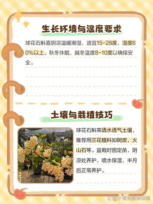 石斛的养殖方法和注意事项，澳洲石斛的养殖方法和注意事项？-第5张图片-优品飞百科