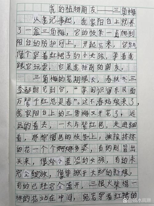 婆婆买了1盆花，婆婆种的花发朋友圈说说-第2张图片-优品飞百科