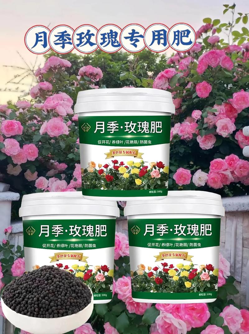 月季花施肥施什么肥料,月季花施什么肥?-第2张图片-优品飞百科 月季花施肥施什么肥料,月季花施什么肥?-第2张图片-优品飞百科