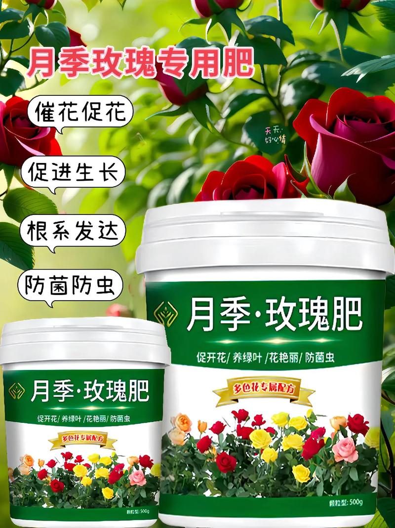 月季花施肥施什么肥料,月季花施什么肥?-第3张图片-优品飞百科 月季花施肥施什么肥料,月季花施什么肥?-第3张图片-优品飞百科