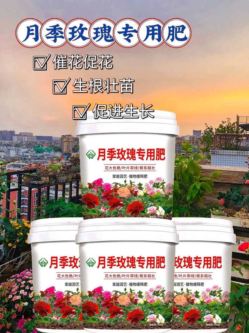 月季花施肥施什么肥料,月季花施什么肥?-第5张图片-优品飞百科 月季花施肥施什么肥料,月季花施什么肥?-第5张图片-优品飞百科