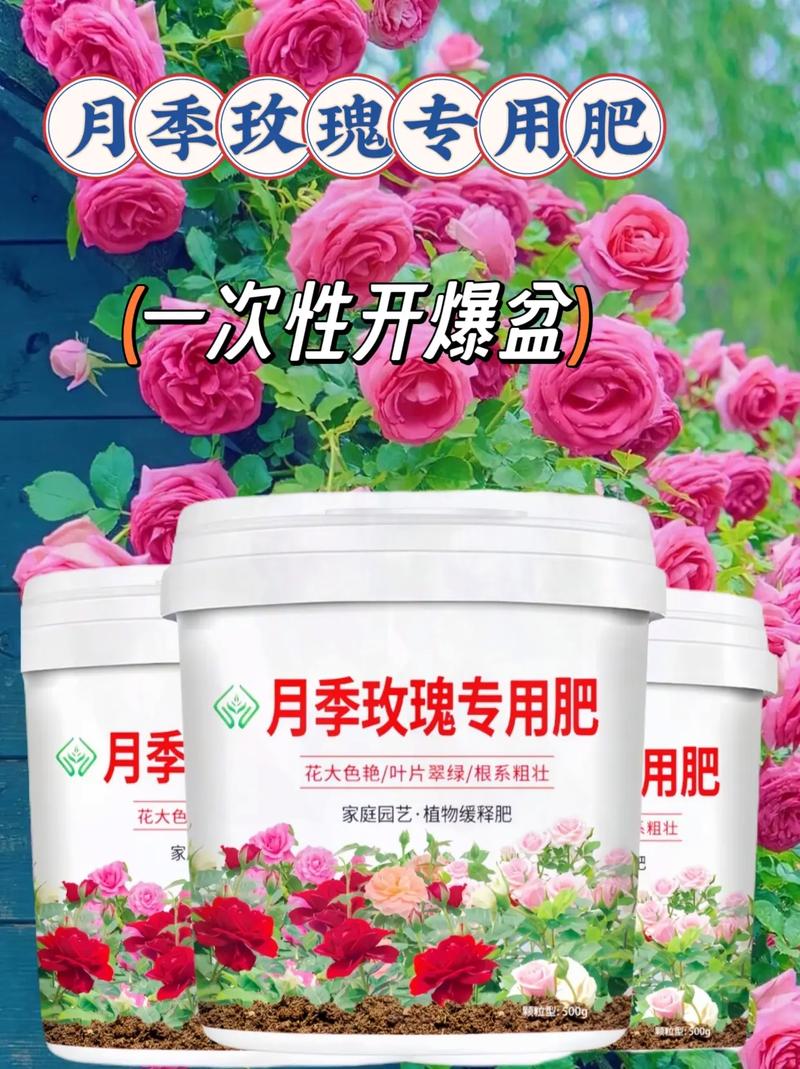 月季花施肥施什么肥料,月季花施什么肥?-第6张图片-优品飞百科 月季花施肥施什么肥料,月季花施什么肥?-第6张图片-优品飞百科