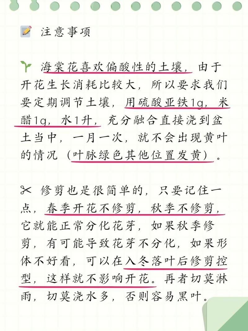 天竺葵花开败了怎么办，天竺葵花开败了怎么办视频-第5张图片-优品飞百科