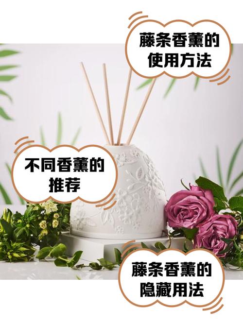 天竺葵花开败了怎么办，天竺葵花开败了怎么办视频-第6张图片-优品飞百科