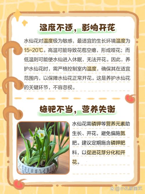 水仙花的叶子可以剪吗？水仙花的叶子能不能剪？-第5张图片-优品飞百科