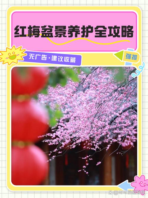 红梅几月份换盆比较好?红梅几月份可以修剪?-第2张图片-优品飞百科 红梅几月份换盆比较好?红梅几月份可以修剪?-第2张图片-优品飞百科