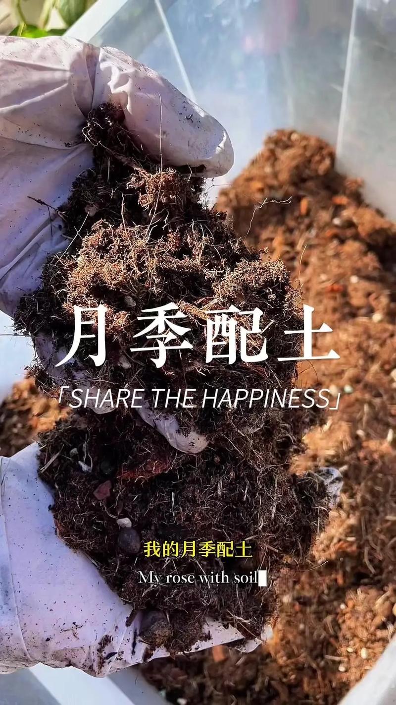 月季土壤要求？月季土壤要求标准？