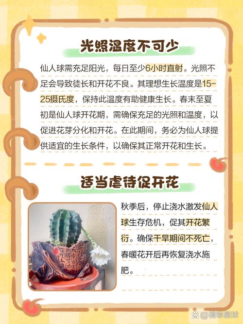 仙人球怎么养长得快？仙人球怎么养才能又大又圆？-第2张图片-优品飞百科