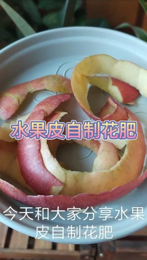 用“果皮”做肥水？用果皮泡水做肥料需要多少时间？