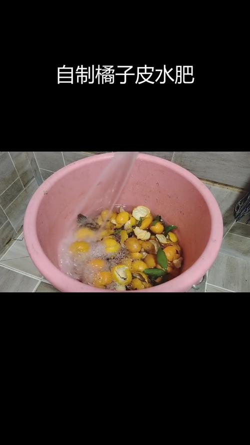 用“果皮”做肥水？用果皮泡水做肥料需要多少时间？-第4张图片-优品飞百科