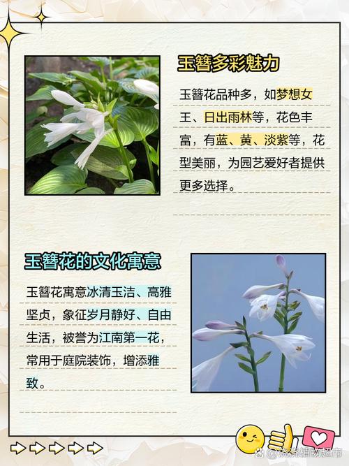 玉簪花秋天怎么养，玉簪花夏天怎么养-第2张图片-优品飞百科